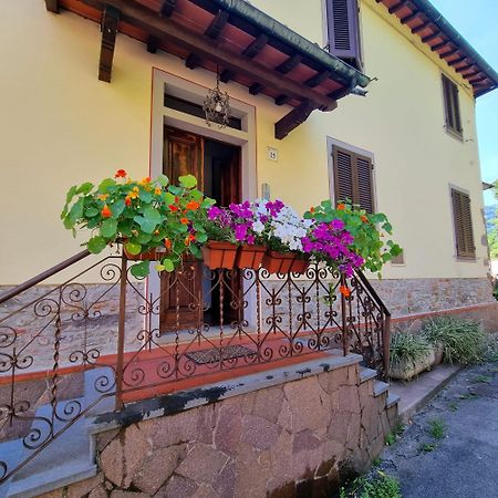 Bed and Breakfast A Collodi Io&Mamma Esterno foto